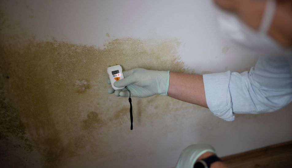 Cuánto cuesta reparar humedades en Valladolid